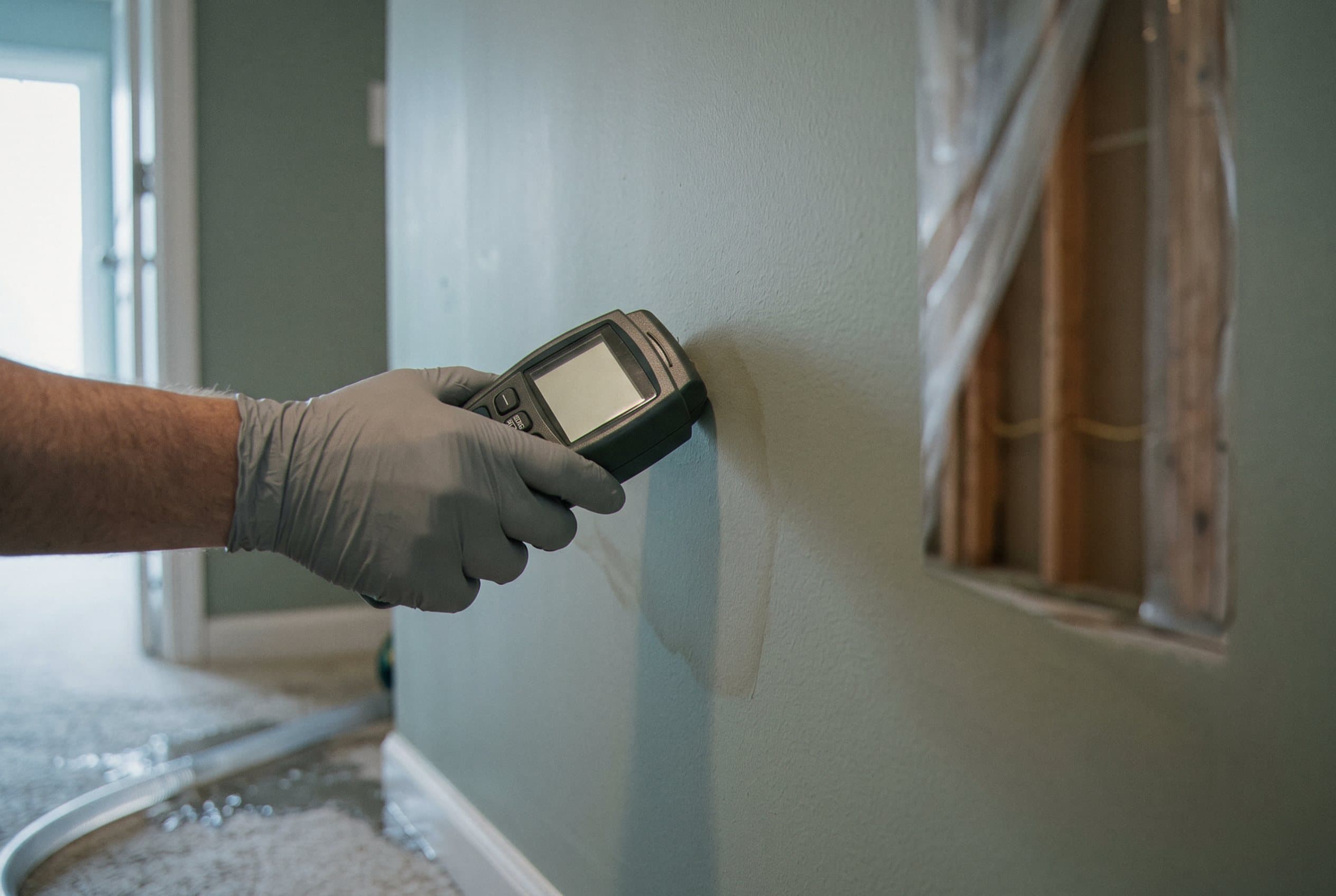 Technician checking moisture levels with meter