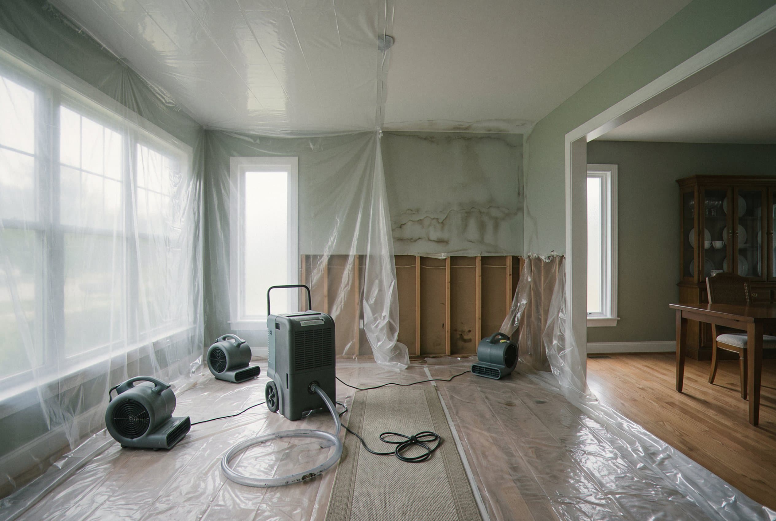 Dehumidifier and air movers set up