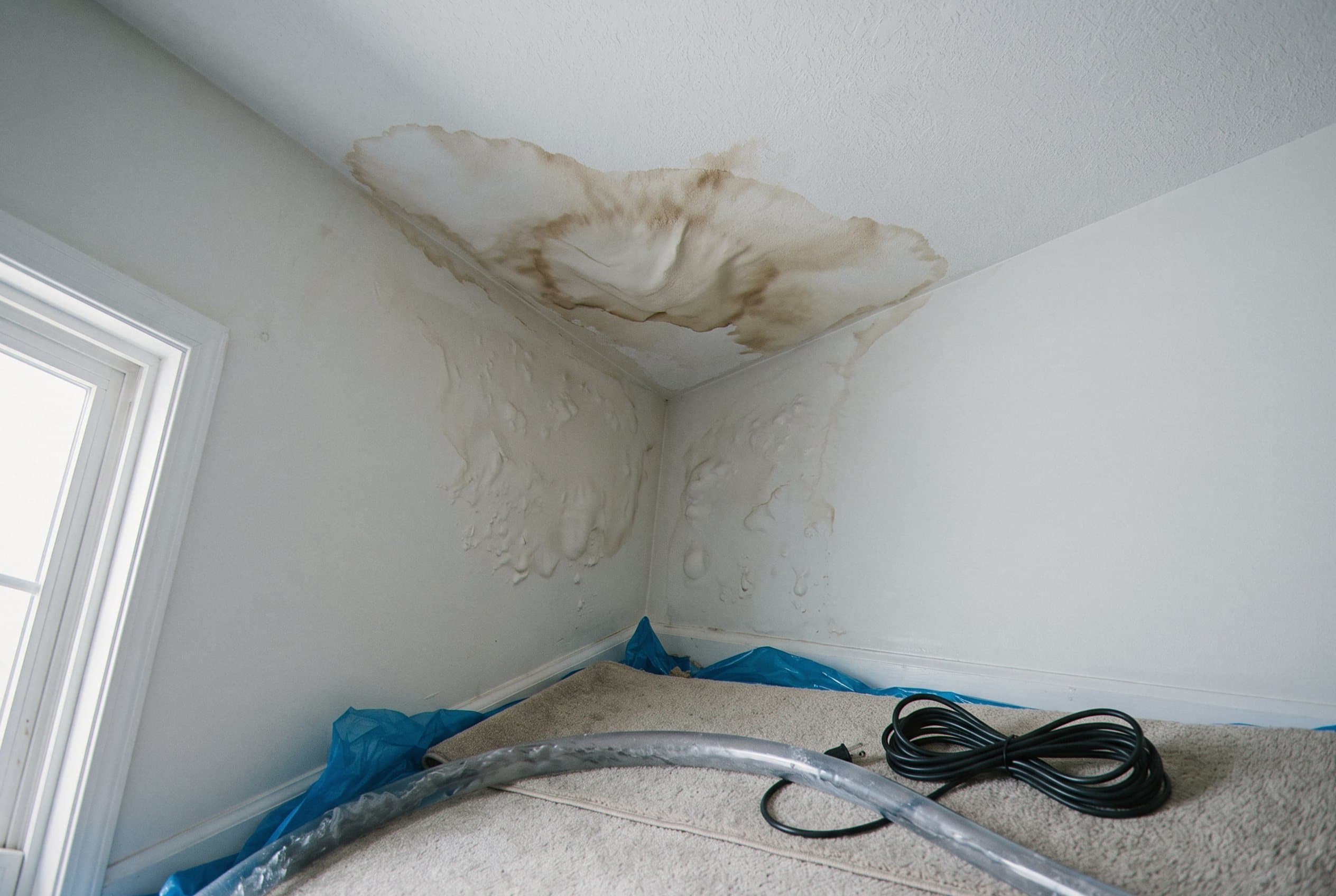 Musty basement showing hidden water damage